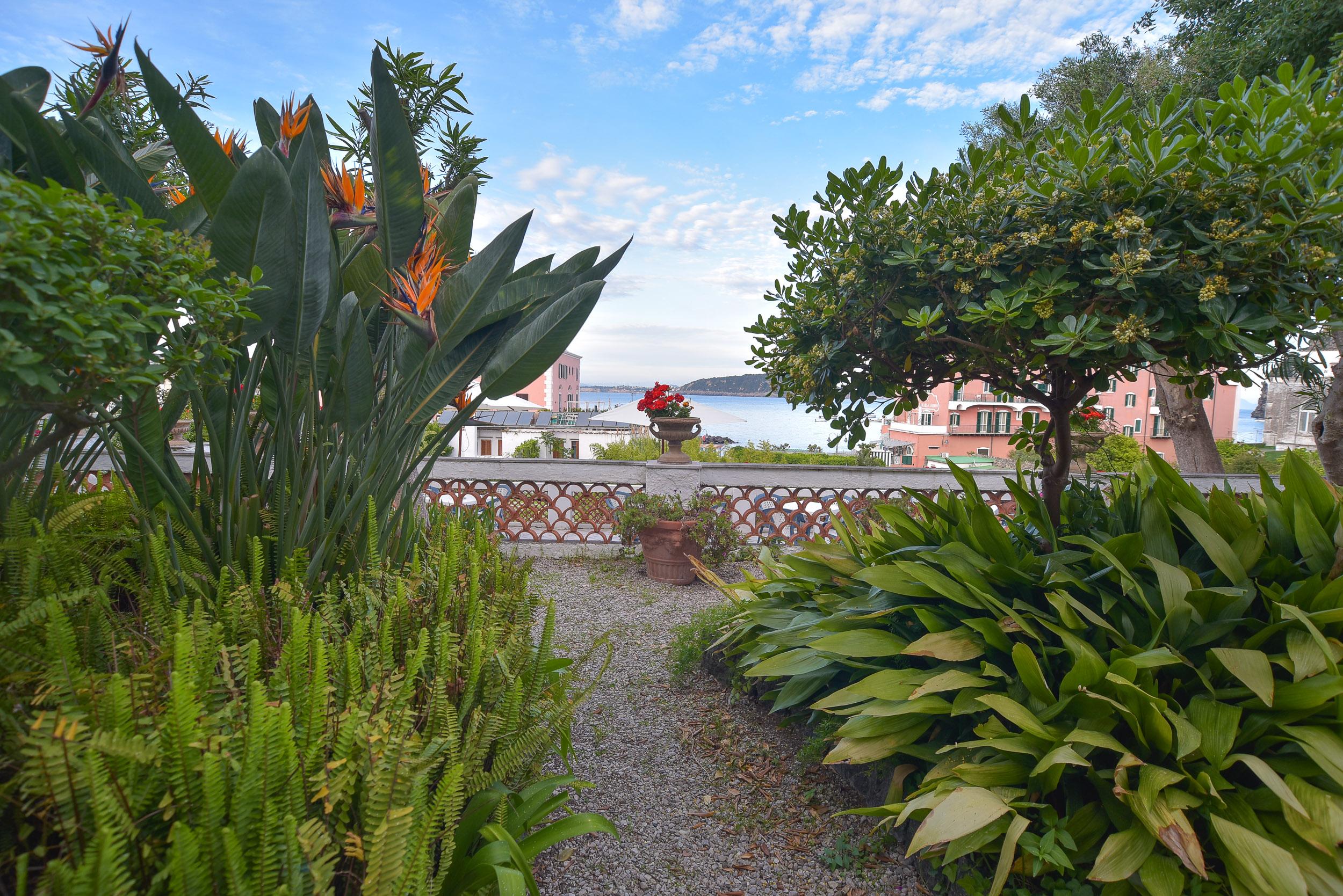 Villa Panoramica - Ischia Ponte Buitenkant foto