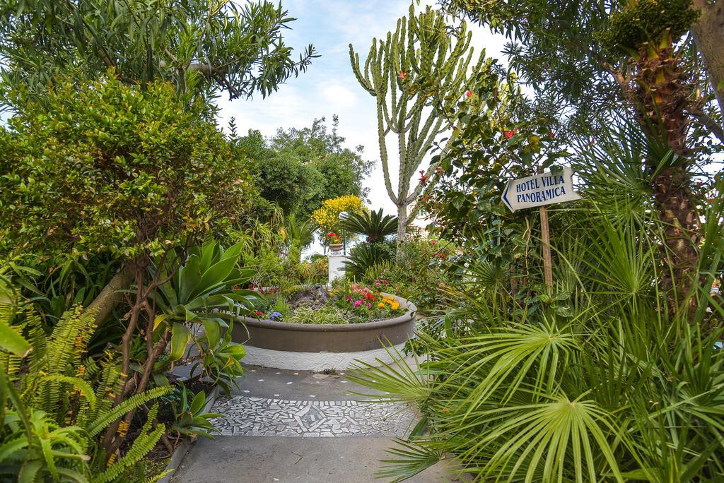 Villa Panoramica - Ischia Ponte Buitenkant foto