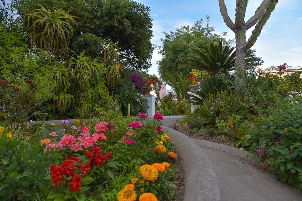 Villa Panoramica - Ischia Ponte Buitenkant foto