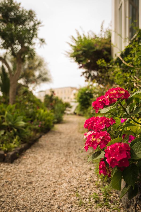 Villa Panoramica - Ischia Ponte Buitenkant foto